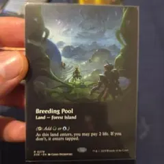 2026年最新】繁殖池 FOILの人気アイテム - メルカリ