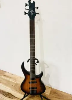 2026年最新】エピフォン tobyの人気アイテム - メルカリ