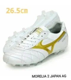 2026年最新】モレリア2japanゴールドの人気アイテム - メルカリ