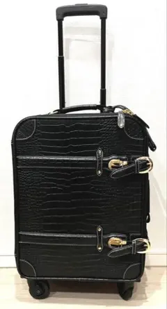 2026年最新】swany スワニー キャリーバッグの人気アイテム - メルカリ