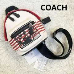 2026年最新】coach キースヘリング ミッキーの人気アイテム - メルカリ