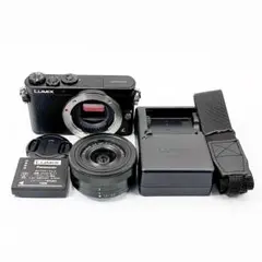 2026年最新】Panasonic lumix GM1 DMC-GM1K-Kの人気アイテム - メルカリ