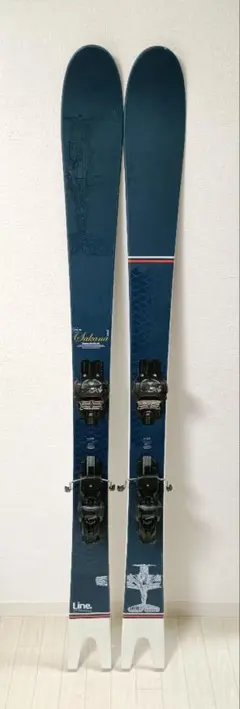 2026年最新】line sakana スキーの人気アイテム - メルカリ