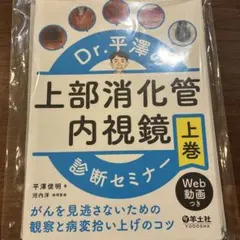2026年最新】平澤 内視鏡の人気アイテム - メルカリ