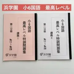 2026年最新】浜学園 小6 最高レベル特訓 テキストの人気アイテム
