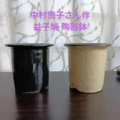 2026年最新】鶴仙園の人気アイテム - メルカリ