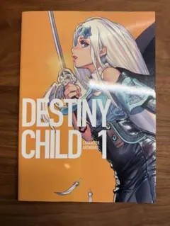 2026年最新】DESTINYCHILD CHARACTER ARTWORKS 1の人気アイテム - メルカリ