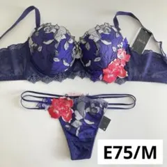 2026年最新】サルート56の人気アイテム - メルカリ