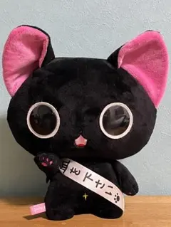 2026年最新】にゃんぱいあぬいぐるみの人気アイテム - メルカリ