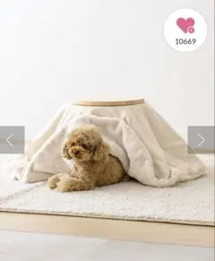 2026年最新】猫 こたつ 3coinsの人気アイテム - メルカリ