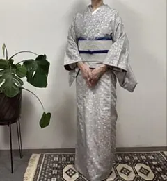 2026年最新】白大島 大島紬の人気アイテム - メルカリ