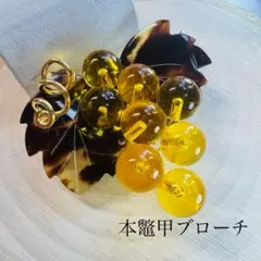 2026年最新】本鼈甲の人気アイテム - メルカリ