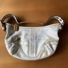 2026年最新】コーチ蜂刺繍バッグの人気アイテム - メルカリ