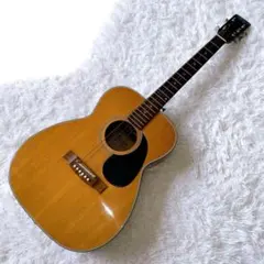 2026年最新】グレコ アコースティックギターの人気アイテム - メルカリ