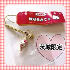 2026年最新】ご当地ハローキティの人気アイテム - メルカリ