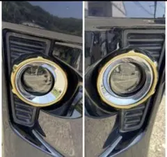 2026年最新】Zゴールデンアイズの人気アイテム - メルカリ