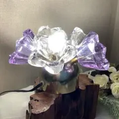 2026年最新】HOYA 花あかりの人気アイテム - メルカリ