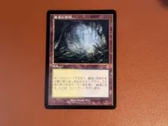 2026年最新】フェッチランドの人気アイテム - メルカリ