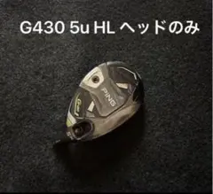 2026年最新】g430 ハイブリッド 5の人気アイテム - メルカリ