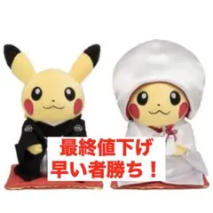 2026年最新】ウェルカムドール ピカチュウの人気アイテム - メルカリ