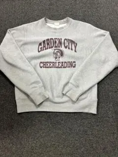 2026年最新】チャンピオン リバースウィーブ 80s中期の人気アイテム