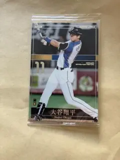 2026年最新】オーナーズリーグ 大谷の人気アイテム - メルカリ