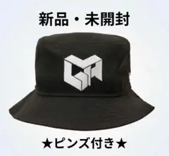 2026年最新】ミセスグリーンアップル帽子の人気アイテム - メルカリ