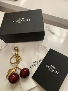 2026年最新】coach さくらんぼ キーケースの人気アイテム - メルカリ