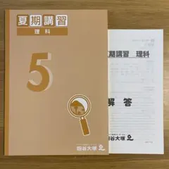 2026年最新】四谷大塚 夏期講習 5年の人気アイテム - メルカリ