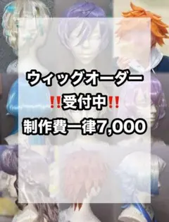 2026年最新】ウィッグ オーダーの人気アイテム - メルカリ