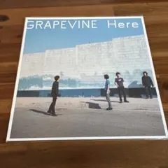 2026年最新】grapevine lpの人気アイテム - メルカリ