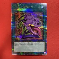 2026年最新】強欲で貪欲な壺 25の人気アイテム - メルカリ