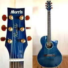 2026年最新】rumbler モーリス ギターの人気アイテム - メルカリ