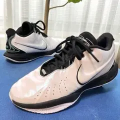 2026年最新】レブロン21 30cmの人気アイテム - メルカリ