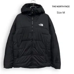 2026年最新】north face ノースフェイス ライモジャケットの人気