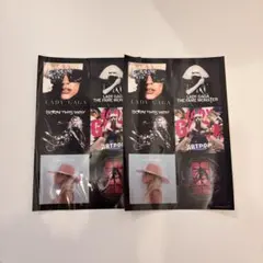 2026年最新】LADY GAGA ステッカーの人気アイテム - メルカリ