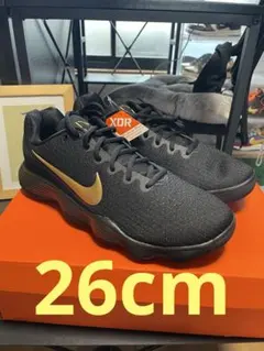 2026年最新】ナイキ ハイパーダンク2017 lowの人気アイテム - メルカリ