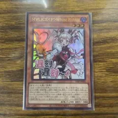 2026年最新】マリスポーンホワイトラビットの人気アイテム - メルカリ