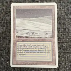 2026年最新】デュアルランドの人気アイテム - メルカリ