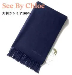 2026年最新】see by chloe マフラーの人気アイテム - メルカリ