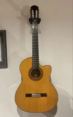 2026年最新】ヤイリ ガット ギターの人気アイテム - メルカリ