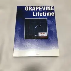 2026年最新】バンドスコア グレイプバインの人気アイテム - メルカリ