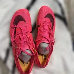 2026年最新】エアズームヴィクトリーの人気アイテム - メルカリ