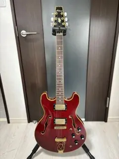 2026年最新】TA セミアコの人気アイテム - メルカリ