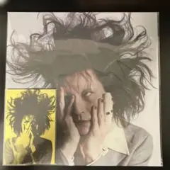 2026年最新】ドレスコーズ lpの人気アイテム - メルカリ