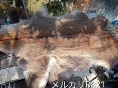2026年最新】鹿毛皮の人気アイテム - メルカリ