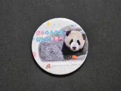 2026年最新】彩浜の人気アイテム - メルカリ