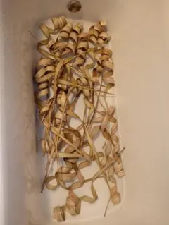 2026年最新】ラウハラ ロールの人気アイテム - メルカリ