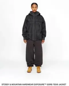 2026年最新】STUSSY マウンテンパーカーの人気アイテム - メルカリ