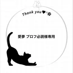 2026年最新】プロフ必読様専用の人気アイテム - メルカリ